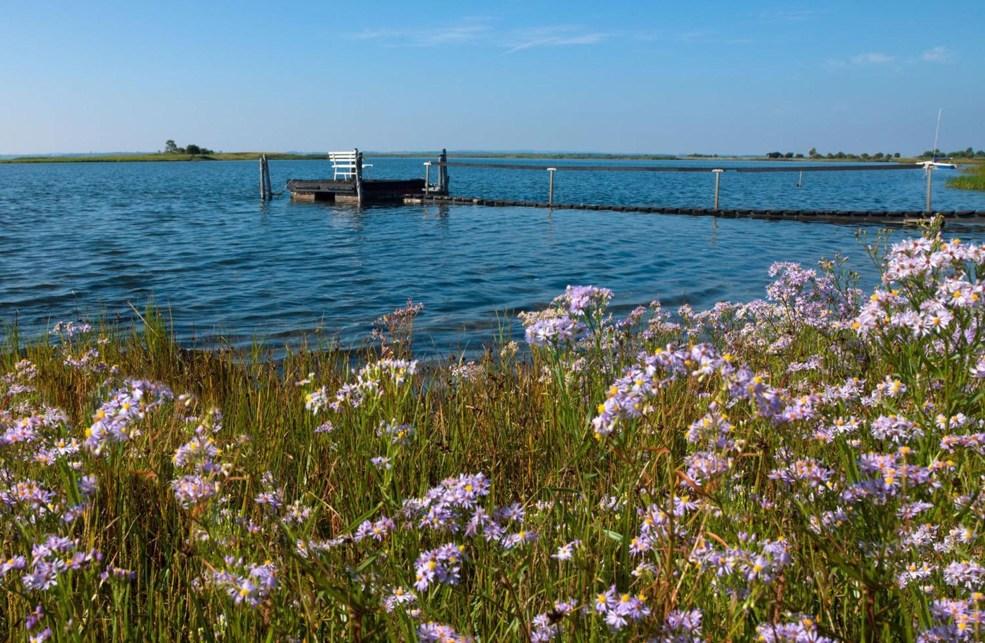 Haus Seeblick Steuerbord Insel Poel Bagian luar foto