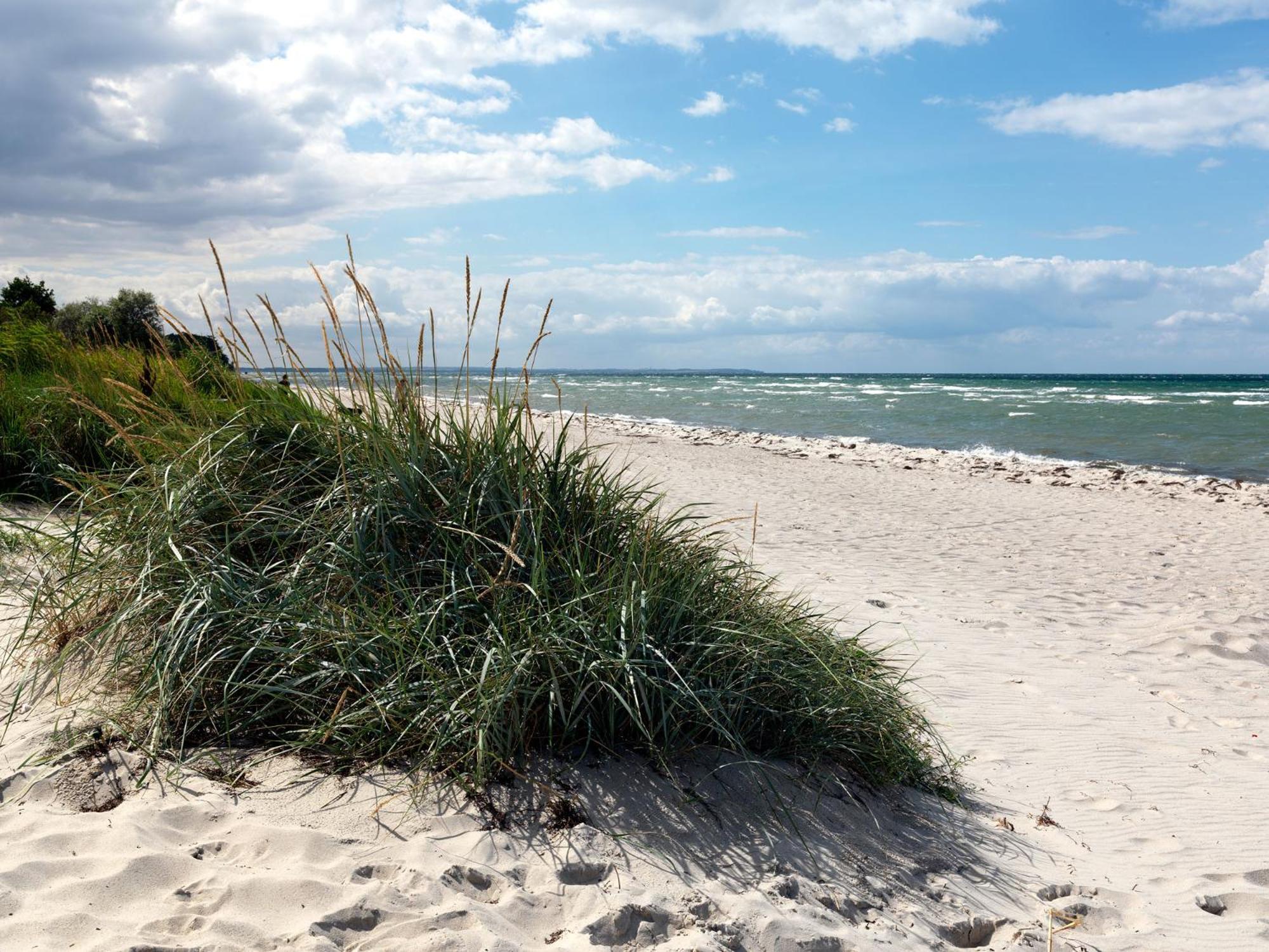 Haus Seeblick Steuerbord Insel Poel Bagian luar foto